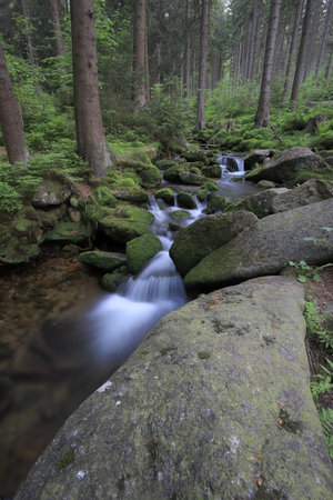 Swieradowka - a mountain stream in the Izera Mountains, Poland, Europe.の写真素材