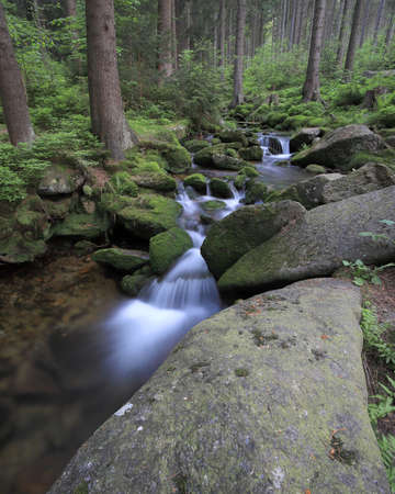Swieradowka - a mountain stream in the Izera Mountains, Poland, Europe.の写真素材