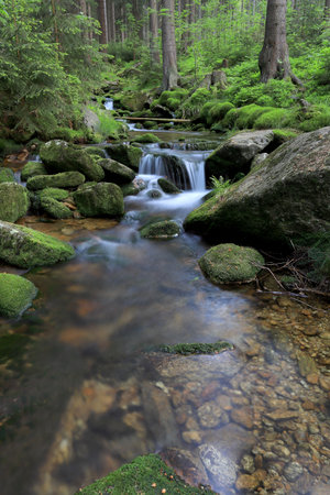 Swieradowka - a mountain stream in the Izera Mountains, Poland, Europe.の写真素材