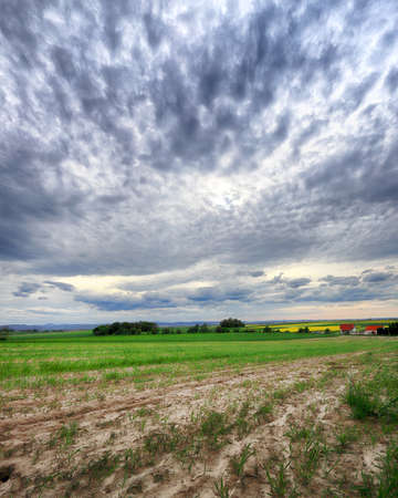 Sleza Landscape Park at the foot of the Sleza Mountain, in south-western Poland, Europe.の写真素材