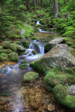Swieradowka (German: Steinbach) - a mountain stream in south-western Poland, in the province Lower Silesia, in the Izera Mountains.の写真素材