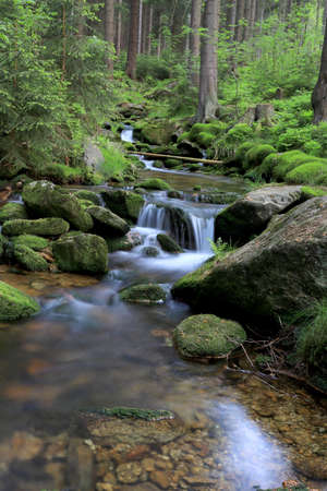 Swieradowka (German: Steinbach) - a mountain stream in south-western Poland, in the province Lower Silesia, in the Izera Mountains.の写真素材