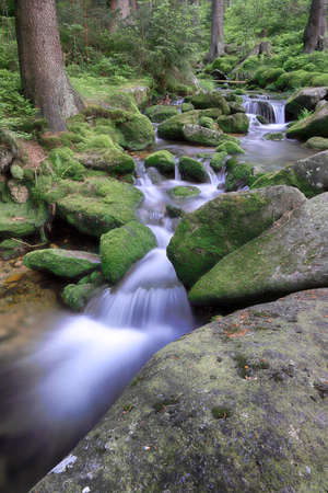 Swieradowka (German: Steinbach) - a mountain stream in south-western Poland, in the province Lower Silesia, in the Izera Mountains.の写真素材