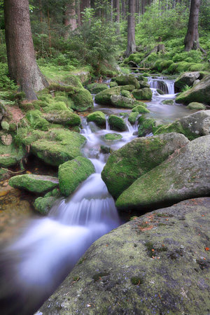 Swieradowka (German: Steinbach) - a mountain stream in south-western Poland, in the province Lower Silesia, in the Izera Mountains.の写真素材
