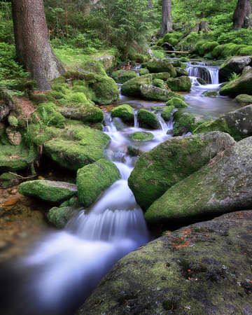Swieradowka (German: Steinbach) - a mountain stream in south-western Poland, in the province Lower Silesia, in the Izera Mountains.の写真素材