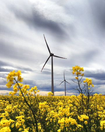 Windmill in the field. Gaj Olawski wind farm near Wroclaw, Poland, Europe.
