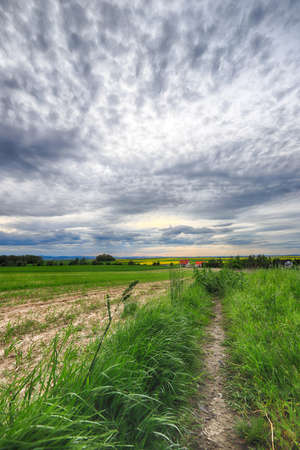 Sleza Landscape Park at the foot of the Sleza Mountain, in south-western Poland, Europe.の写真素材