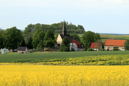 WROCLAW, POLAND - MAY 24, 2021: St. Martin Church in Gogolow at the foot of Sleza Mountain, surrounded by fields of flowering rape.のeditorial素材