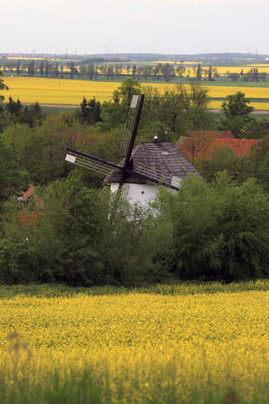 WROCLAW, POLAND - MAY 24, 2021: Dutch windmill from 1830 located on the edge of the village of Gogolow at the foot of the Sleza Mountain, in south-western Poland, Europe.のeditorial素材
