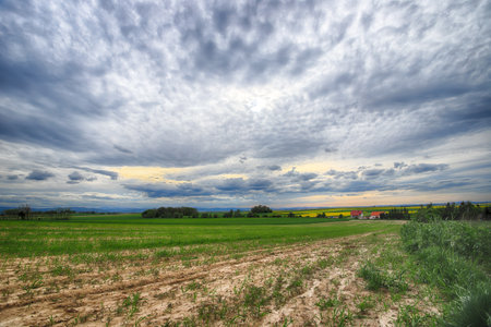 Sleza Landscape Park at the foot of the Sleza Mountain, in south-western Poland, Europe.の写真素材
