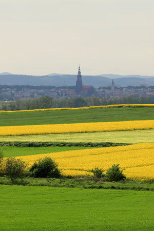 Sleza Landscape Park at the foot of the Sleza Mountain, in south-western Poland, Europe.の写真素材