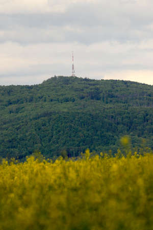 Sleza Mountain in may, surrounded by fields of flowering yellow rape. South-western Poland, Europe.の写真素材