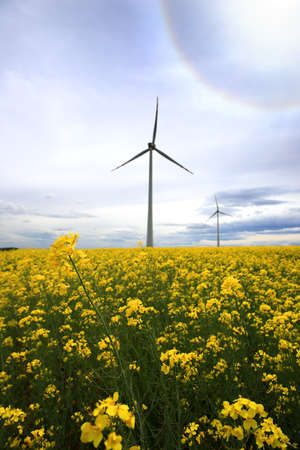 The Halo effect is an optical phenomenon in the Earth's atmosphere that is observed around the Sun's disc. It is a rainbow-colored ring that is visible around the sun. Gaj Olawski wind farm.の写真素材