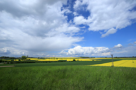 Sleza Landscape Park at the foot of the Sleza Mountain, in south-western Poland, Europe. Spring...