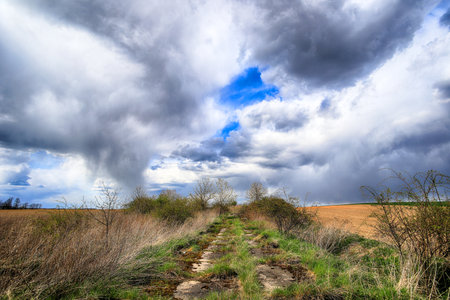 Empty, local road among fields on a stormy day on the last days of April. Spring landscape with beautiful clouds.の写真素材
