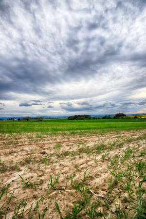 Sleza Landscape Park at the foot of the Sleza Mountain, in south-western Poland, Europe.の写真素材