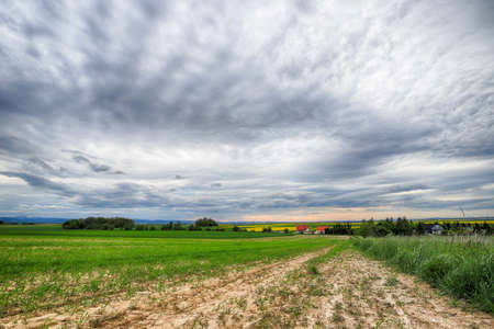 Sleza Landscape Park at the foot of the Sleza Mountain, in south-western Poland, Europe.の写真素材