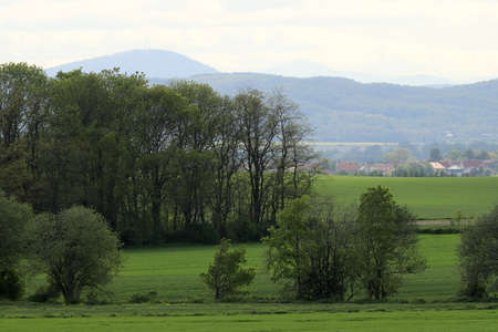 Sleza Landscape Park at the foot of the Sleza Mountain, in south-western Poland, Europe.の写真素材