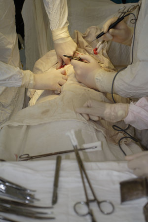 Operation in a process. Shot in a hospital.