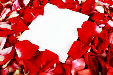 Red rose plants visiting card backgroundの写真素材