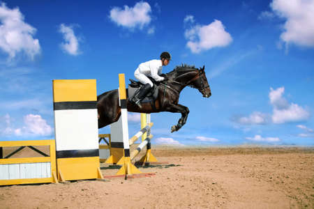 Horse theme: jockeys, horse races, speed.の写真素材