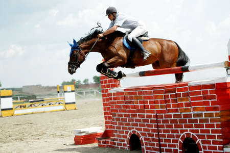 Horse theme: jockeys, horse races, speed.の写真素材