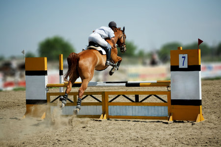 Horse theme: jockeys, horse races, speed.