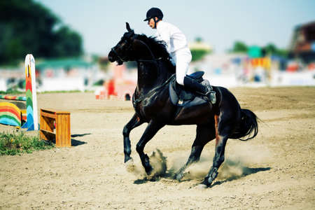 Horse theme: jockeys, horse races, speed.の写真素材