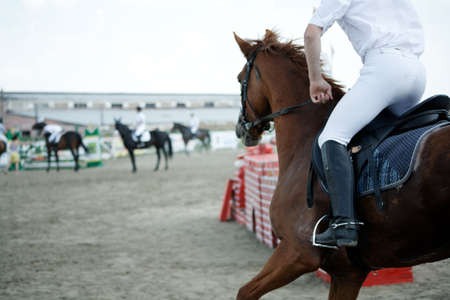 Horse theme: jockeys, horse races, speed.の写真素材