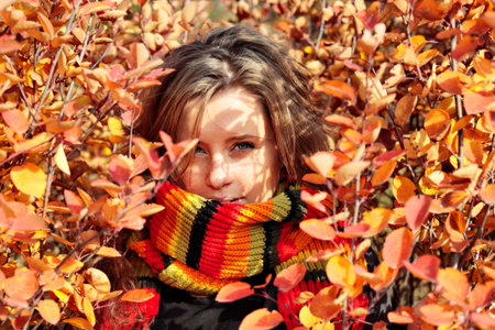 Young pretty woman in the autumn park.