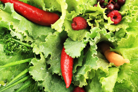 Fresh Vegetables, Fruits and other foodstuffs. Shot in a studio. の写真素材