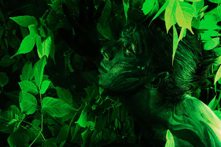 Bodypainting project: art, fashion, beautyの写真素材