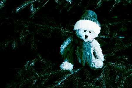 Christmas decorations (Santa gifts,adorning)の写真素材