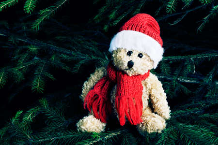 Christmas decorations (Santa gifts,adorning)の写真素材