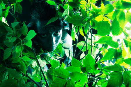 Bodypainting project: art, fashion, beautyの写真素材