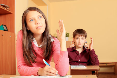 Educational theme: schoolchildren in a classroom.