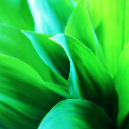 Fresh green leaves, lily of the valley.