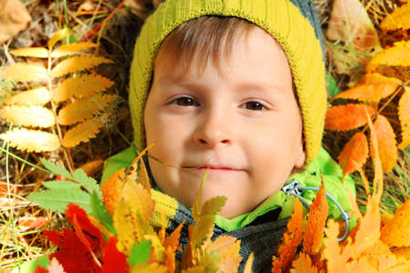 Happy little boy walking at the autumn park.の写真素材