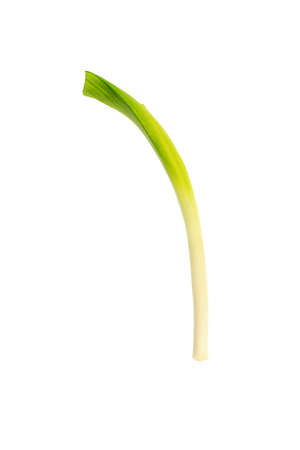 Fresh onion isolated over white background.の写真素材