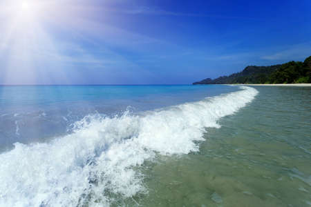 Tropical beach on a beautiful island. Andaman Sea. の写真素材