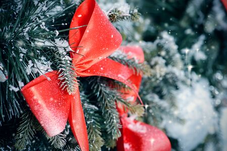Christmas background with snow-covered fir twigs and red bow.の写真素材
