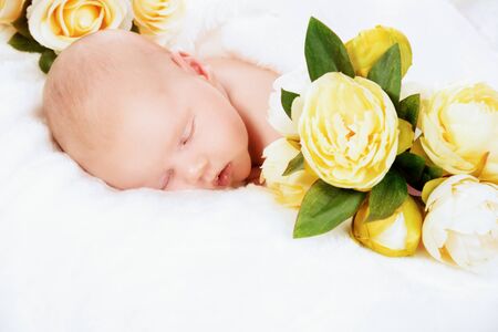 Beautiful newborn baby sleeps peacefully on a soft white blanket among the flowers.の写真素材