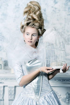 Portrait of a fashion model in a magnificent silver and white dress and high hairdo in vintage style. Historical dress, hairstyles history. Ice Queen portrait.の写真素材