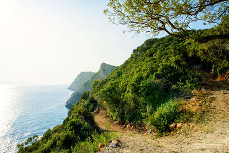 Adriatic coast in Croatia, Island Sipan. Beautiful scenery of the sea coast.の写真素材