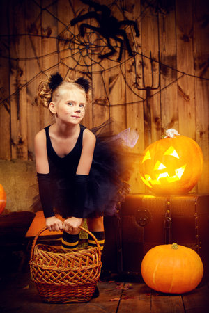 Lovely little girl in a costume of black cat posing with pumpkins in halloween decorations. Halloween party.の写真素材