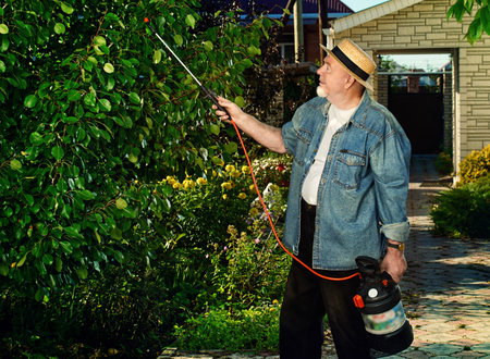 Senior man pollinate trees in the garden with pests spray. Gardening and vegetable farming.の写真素材