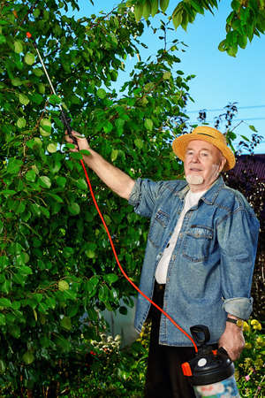 Senior man pollinate trees in the garden with pests spray. Gardening and vegetable farming.の写真素材