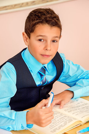 Portrait of a schoolboy studying during the lesson at school. Educational concept.
