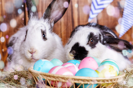 Two fluffy easter bunny sitting on a hay close to painted eggs. Rural style, easter decoration.