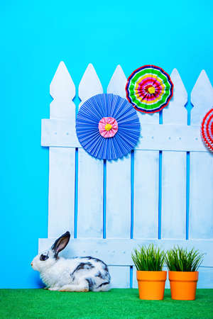 Fluffy easter bunny sitting on a gren lawn in the garden. Rural style, easter decoration.の写真素材